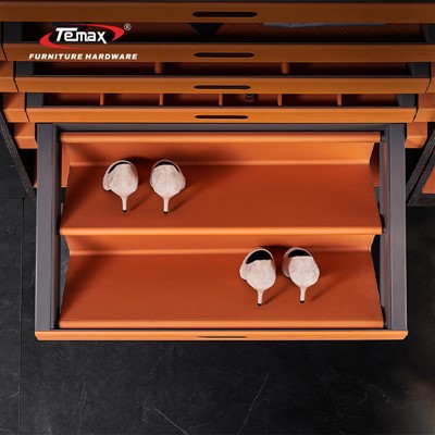 Temax leðurskógeymsla Útdráttarskúffur Soft Close System fyrir nútíma fataskápa W-A035